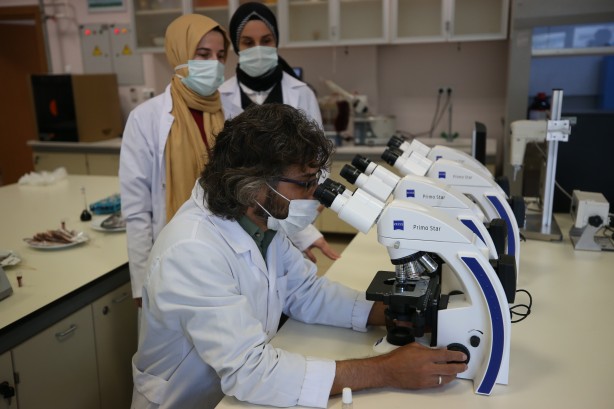 2 yıllık araştırmayla ortaya çıktı! İşte en sağlıklı balık