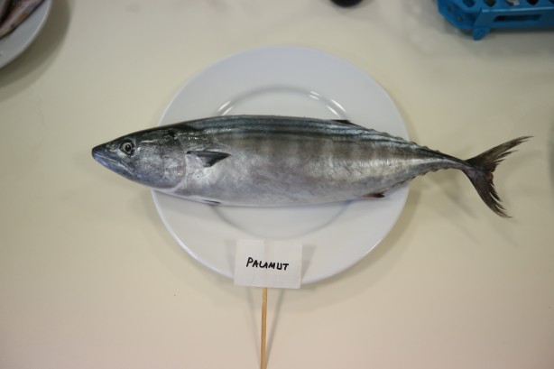 Foto - 2 yıllık araştırmayla ortaya çıktı! İşte en sağlıklı balık