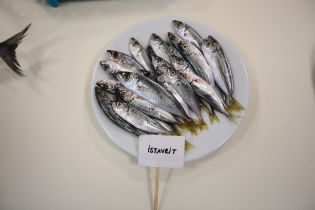 Foto - 2 yıllık araştırmayla ortaya çıktı! İşte en sağlıklı balık