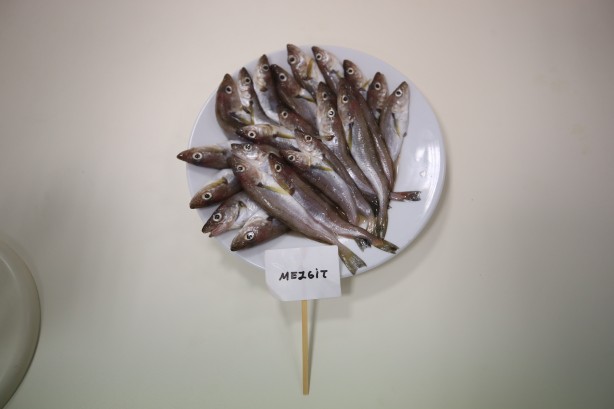 Foto - 2 yıllık araştırmayla ortaya çıktı! İşte en sağlıklı balık