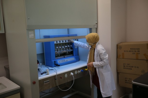 Foto - 2 yıllık araştırmayla ortaya çıktı! İşte en sağlıklı balık