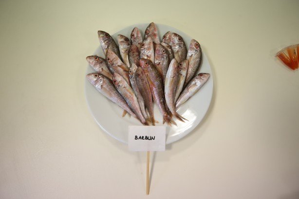 Foto - 2 yıllık araştırmayla ortaya çıktı! İşte en sağlıklı balık