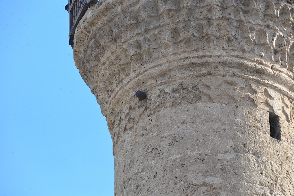 Foto - 20 ay sonra enkazdan çıkarıldı! Fransız işgalinin simgesi