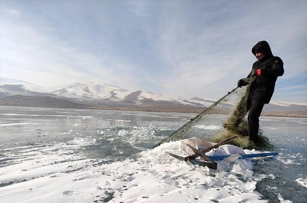 -20 derecede ekmek mücadelesi! Bu soğukta para kazanmak zor iş 