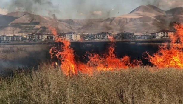 20 dönüm buğday tarlası küle döndü! Sebebi isyan ettirdi