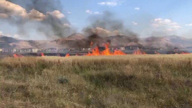 Foto - 20 dönüm buğday tarlası küle döndü! Sebebi isyan ettirdi