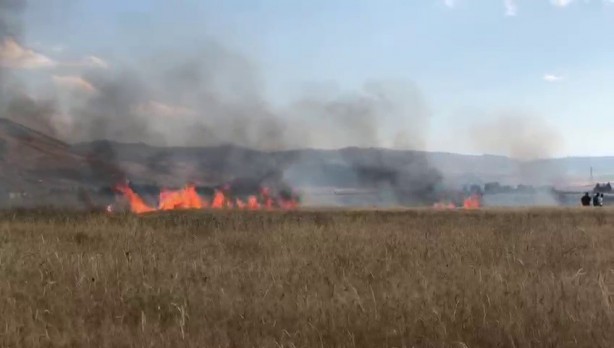Foto - 20 dönüm buğday tarlası küle döndü! Sebebi isyan ettirdi