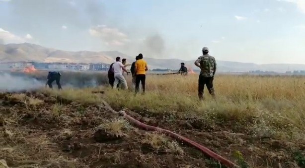 Foto - 20 dönüm buğday tarlası küle döndü! Sebebi isyan ettirdi