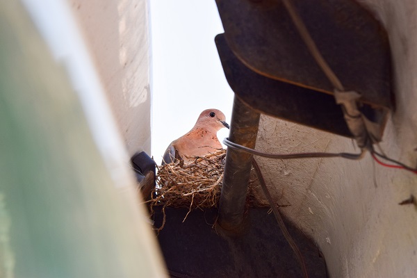 Foto - 20 gündür bu halde! Tır şoförü bakın niye kontak kapattı
