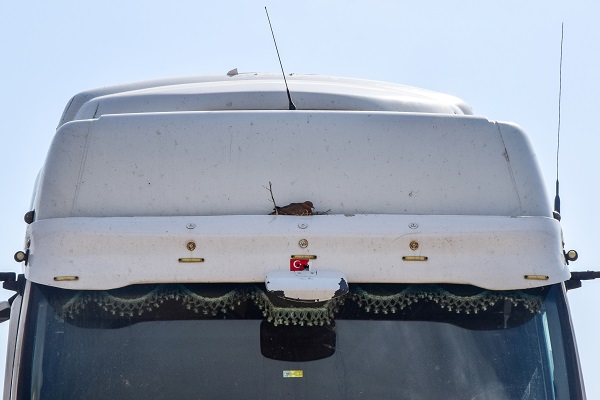 20 gündür bu halde! Tır şoförü bakın niye kontak kapattı