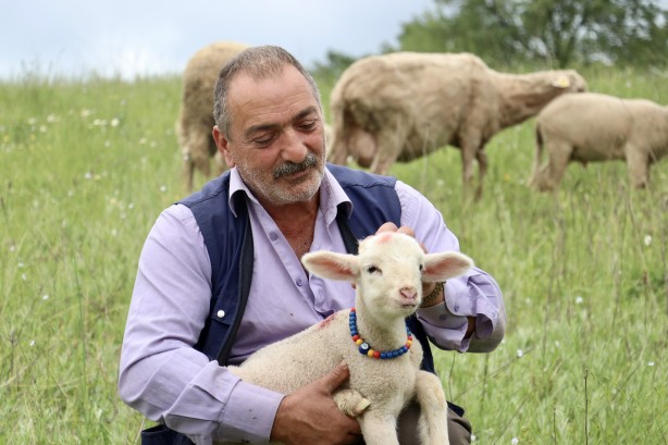 Foto - 20 günlük kuzu sahibinin peşinden ayrılmıyor! Annesinden süt sağılıp biberonla besleniyor! "Arkadaş gibiyiz" İşte o görüntüler!