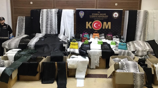 Foto - 20 milyon liralık kaçak ürün ele geçirildi! Yılandan deve kuşuna ne ararsanız