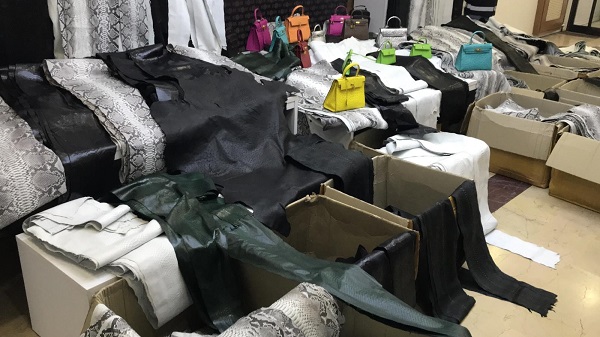 Foto - 20 milyon liralık kaçak ürün ele geçirildi! Yılandan deve kuşuna ne ararsanız