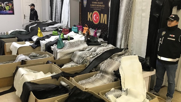 Foto - 20 milyon liralık kaçak ürün ele geçirildi! Yılandan deve kuşuna ne ararsanız