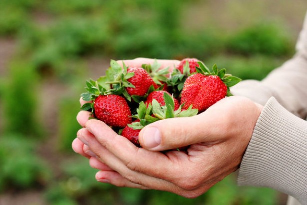 Foto - 20 yaş genç tutan, Uzun yaşamın anahtarı: Uygulayan ayakta kalır, asgari ömrünü uzatır! Sağlık fışkıracak 