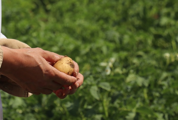 Foto - 20 yıllık çalışma sonuç verdi! Herkesi heyecanlandıran gelişme