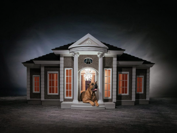 Foto - 200 bin dolara köpek kulübesi!