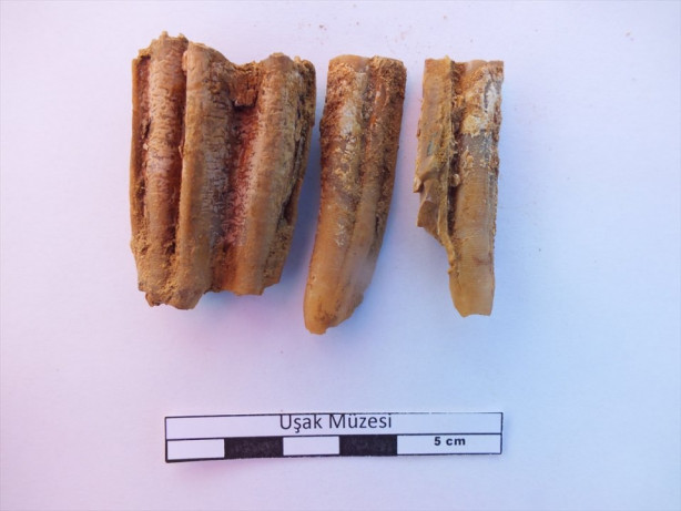 Foto - 200 bin senelik kalıntılar ortaya çıktı!