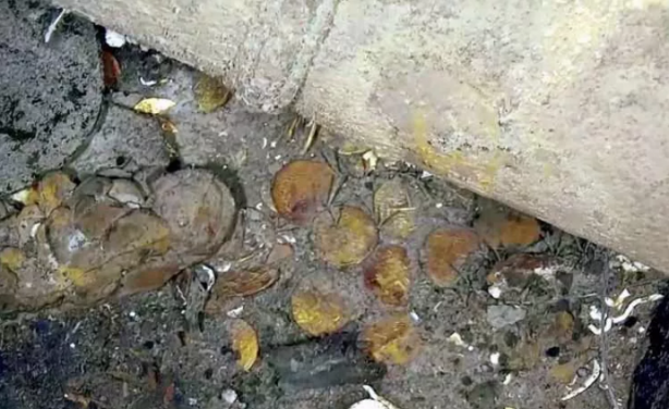 200 ton altın bulundu! 18 milyar dolara tekabül ediyor