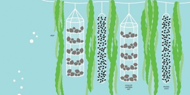 Foto - 2017 senesinde en çok bu buluşlar beğenildi