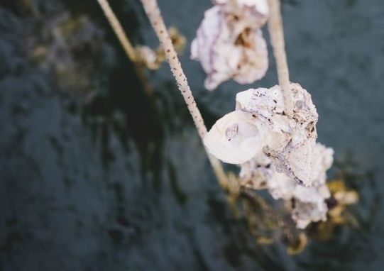 Foto - 2017 senesinde en çok bu buluşlar beğenildi