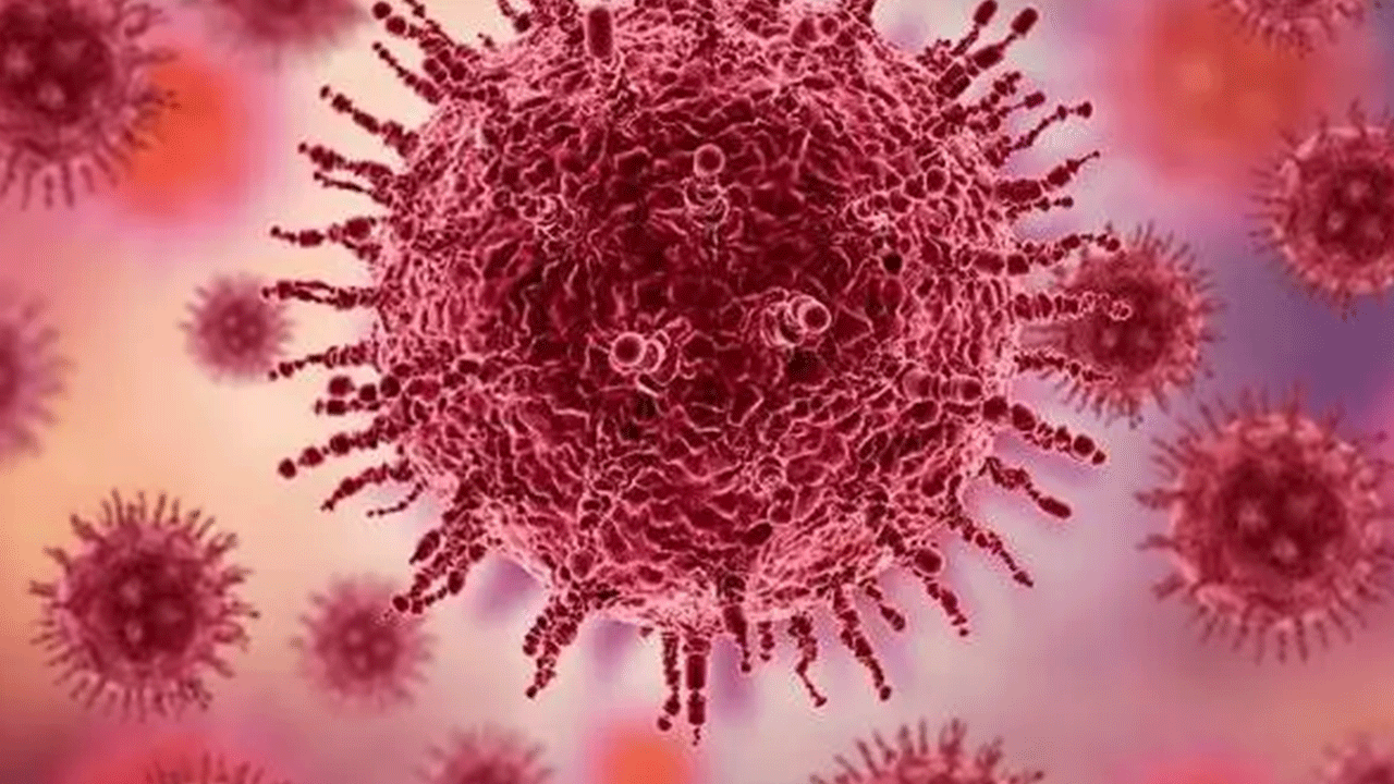 Foto - 2019'dan beri ilk kez: Japonya'da kabus geri döndü!