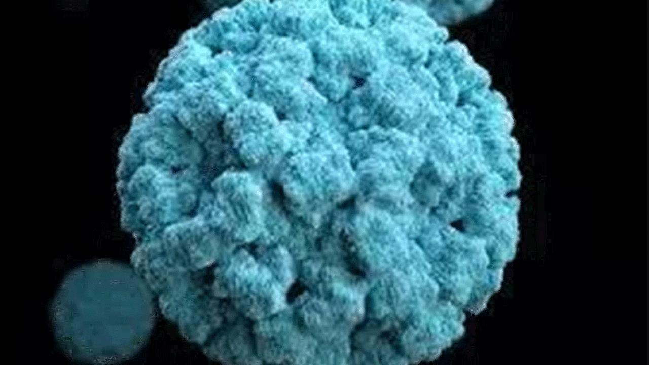 Foto - 2019'dan beri ilk kez: Japonya'da kabus geri döndü!