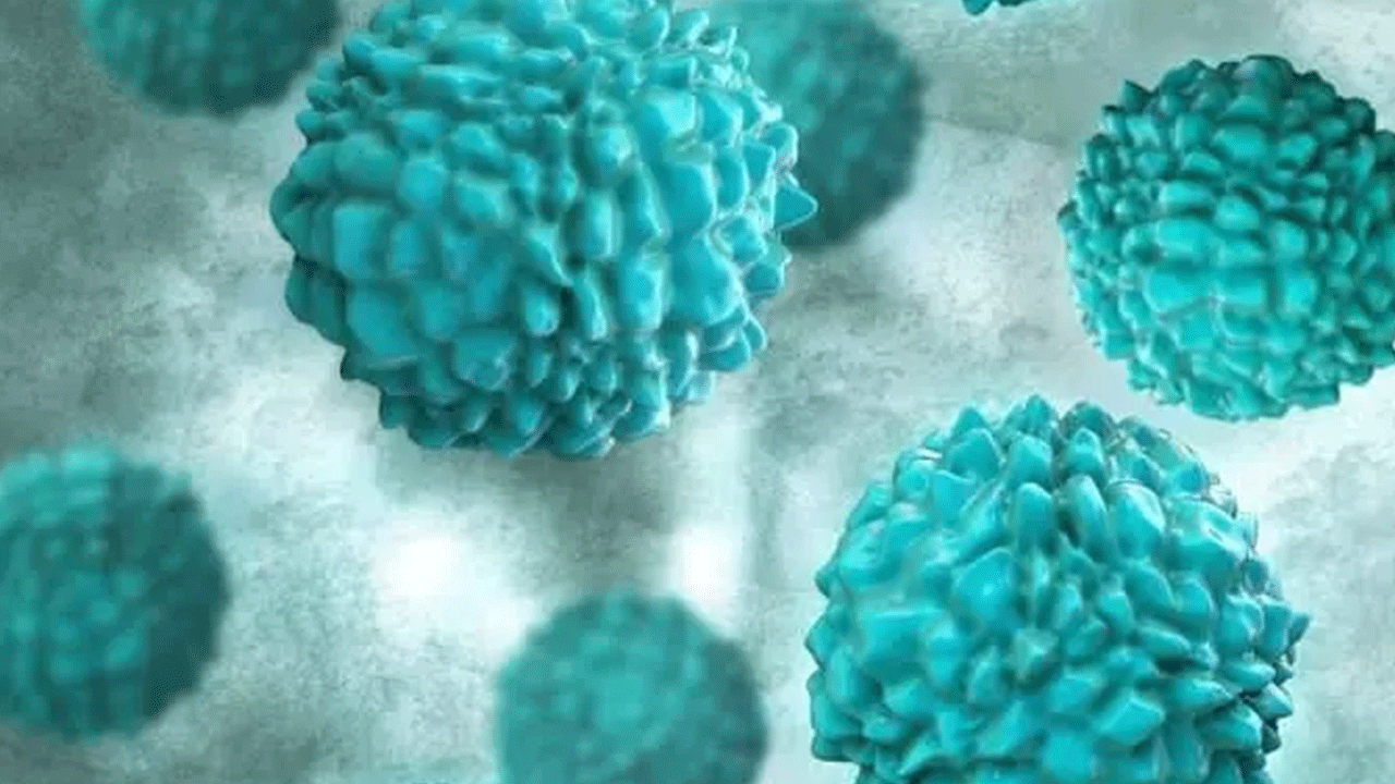 2019'dan beri ilk kez: Japonya'da kabus geri döndü!