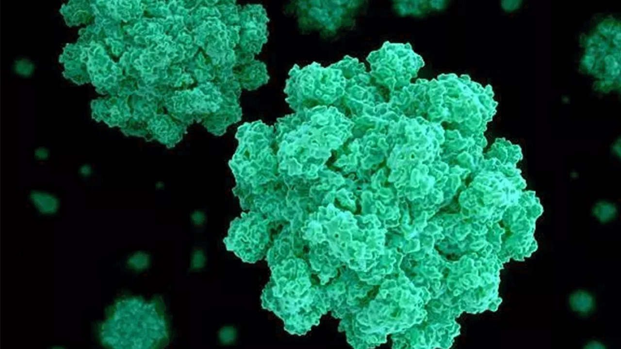 Foto - 2019'dan beri ilk kez: Japonya'da kabus geri döndü!