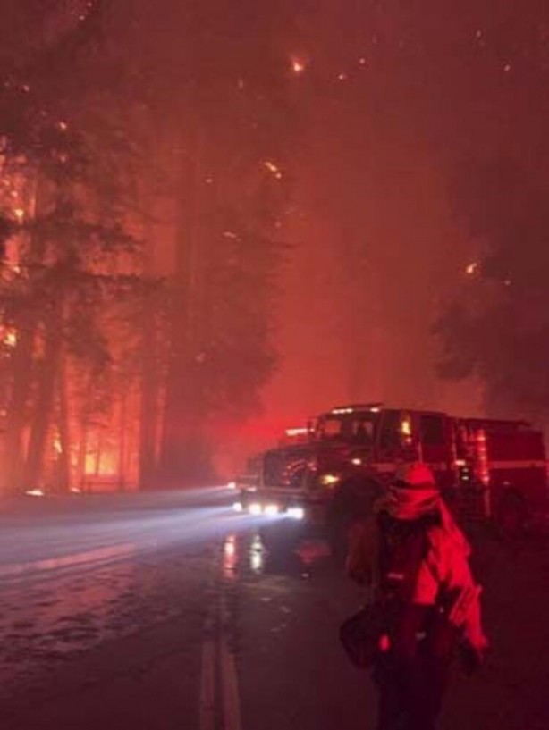 Foto - 2020 devam ediyor... Sonunda bu felaket de oldu! Gökten kuş yağdı