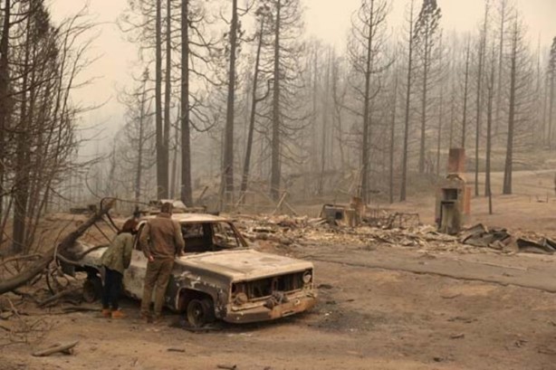 Foto - 2020 devam ediyor... Sonunda bu felaket de oldu! Gökten kuş yağdı
