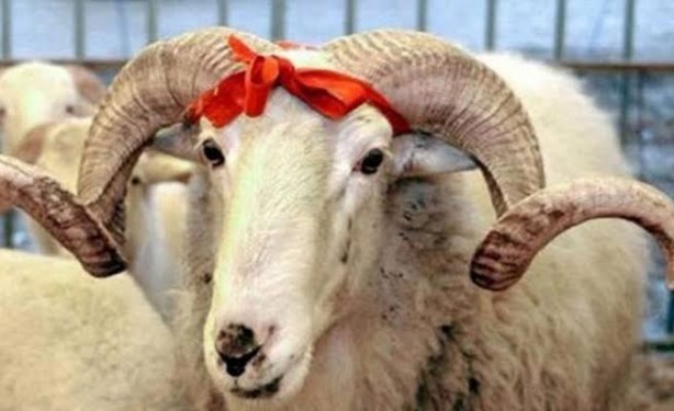 Foto - 2020 yılı Din Gün ve Geceler Takvimi