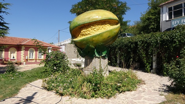 Foto - 2020 yılında coğrafi işaret aldı! Bu meyvenin ne olduğunu biliyor musunuz? 