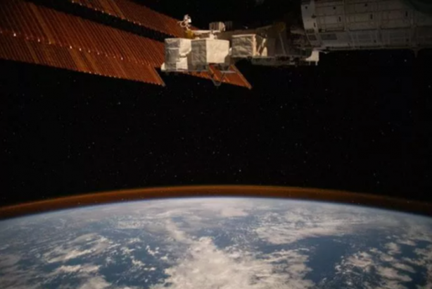 Foto - 2020'nin en iyi Dünya fotoğrafları paylaşıldı