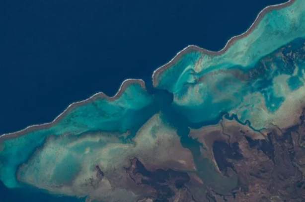 Foto - 2020'nin en iyi Dünya fotoğrafları paylaşıldı