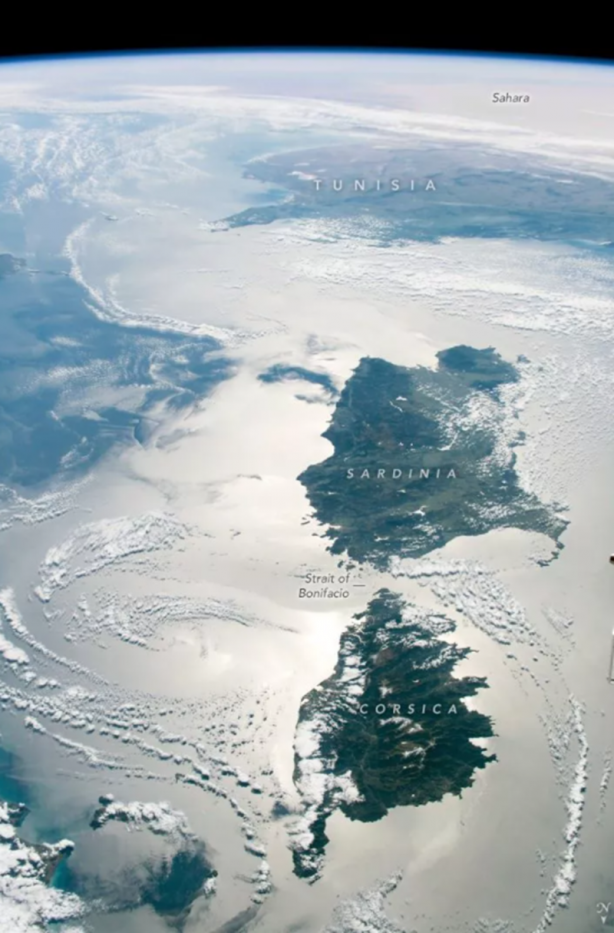 Foto - 2020'nin en iyi Dünya fotoğrafları paylaşıldı