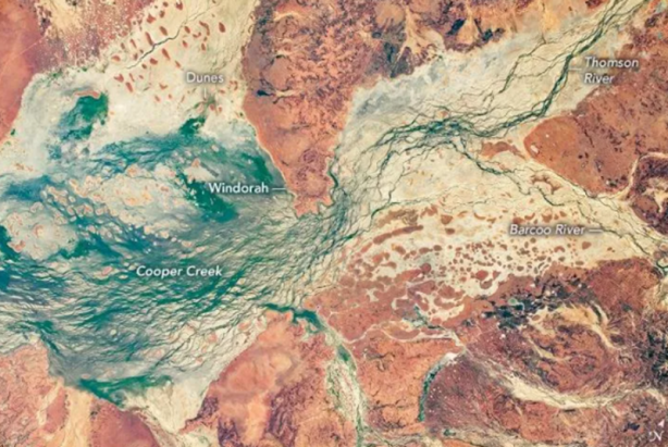 Foto - 2020'nin en iyi Dünya fotoğrafları paylaşıldı