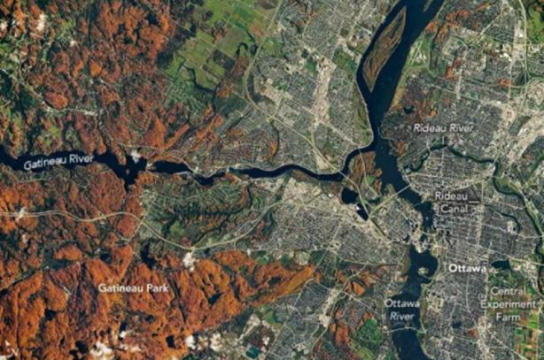 Foto - 2020'nin en iyi Dünya fotoğrafları paylaşıldı