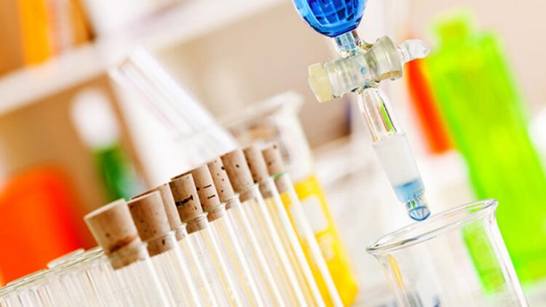 Foto - 2021 yılında en çok bunu yiyeceğiz! Sebebi ise...