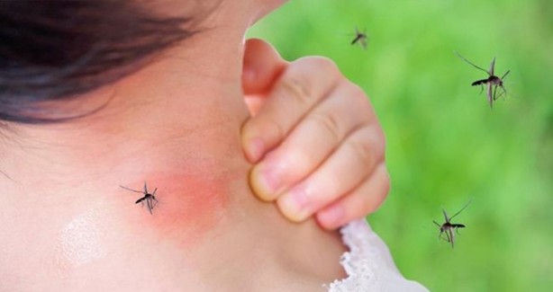 Foto - 2021'de en çok bu hastalıklar araştırıldı! Sağlık konusu ise şok etti