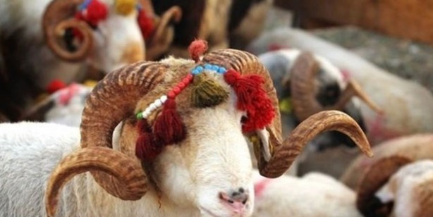 Foto - 2022 resmi tatiller kaç gün? Resmi tatiller 2022’de hangi güne denk geliyor?