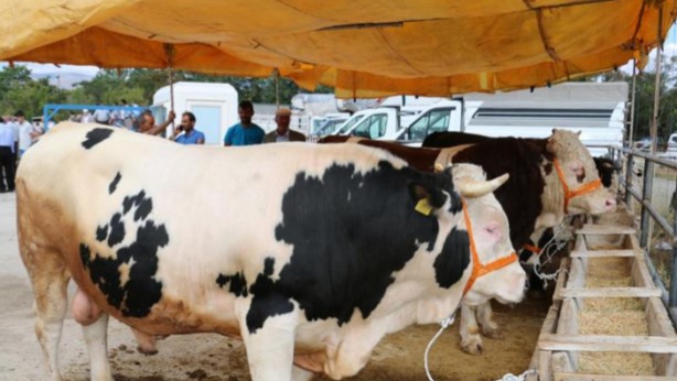 2022 yılı kurban vekalet ücretleri belli oldu
