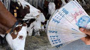 Foto - 2023 yılı vekaletle kurban kesim bedelleri! Diyanet ilan etti: Yurt içinde ve yurt dışında...Açıklaması