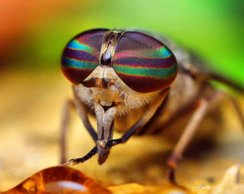 Foto - 2023'e damga vuran 6 garip gerçek! Beyni yok ama çarpa çarpa öğrendi