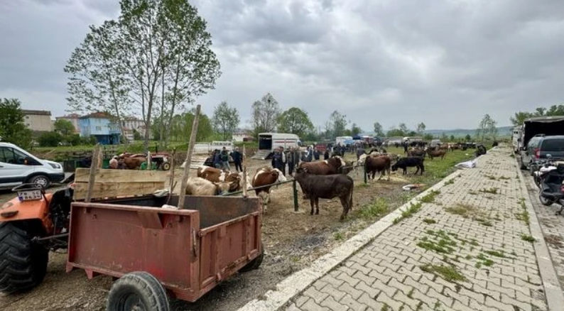Foto - 2025 kurbanlık fiyatları belli oldu! büyükbaş ve küçükbaş güncel fiyat listesi