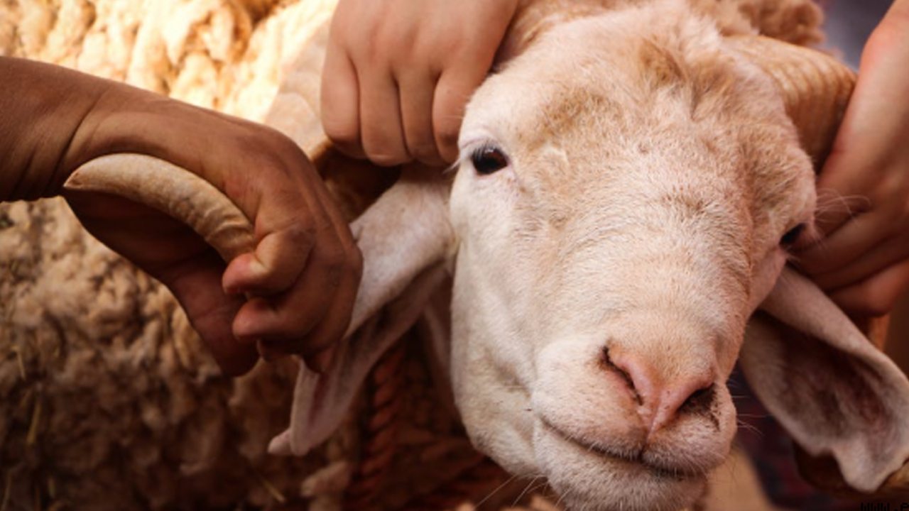 Foto - 2026 tatil yılı olacak: 11,5 gün izinle 43 gün tatil! 2026 resmi tatil takvimi!