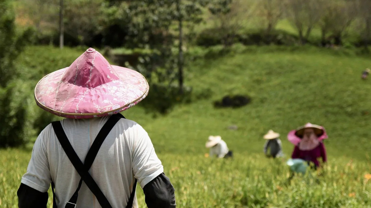 Foto - 2030’un en garanti meslekleri açıklandı! İşsiz kalmaları neredeyse imkansız