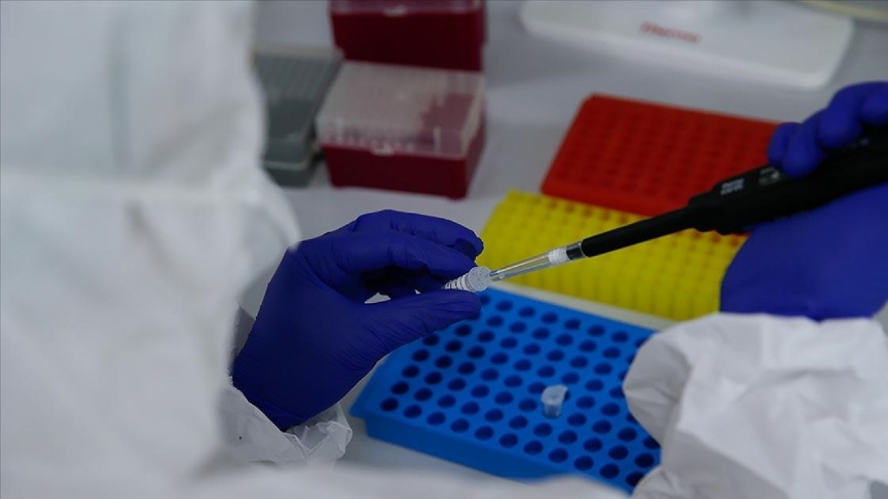 Foto - 2050 yılı için şok eden tahmin! Kanser koptu gidiyor