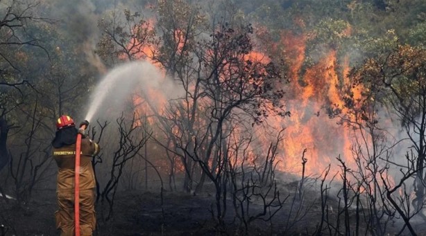 Foto - 21 Haziran’a kadar süre verdiler! "Bu bölgelerde orman yangını çıkabilir"