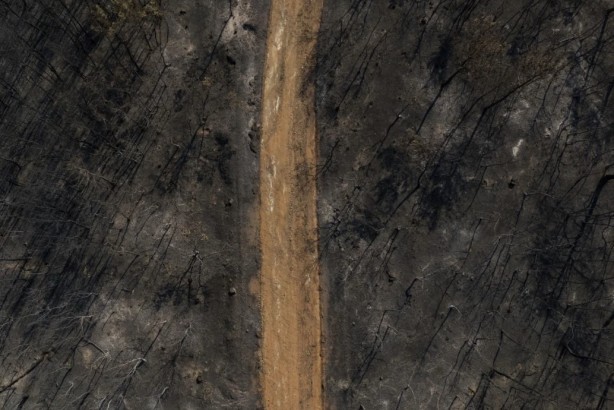 Foto - 21 Haziran’a kadar süre verdiler! "Bu bölgelerde orman yangını çıkabilir"